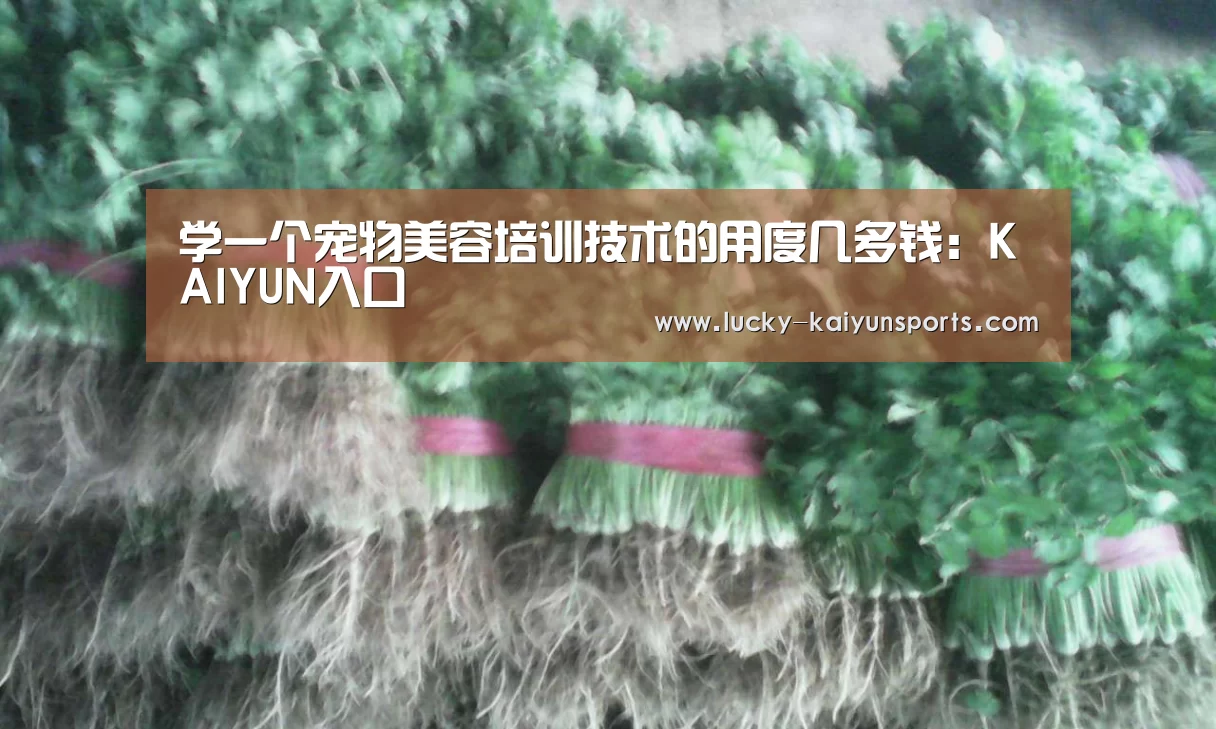 学一个宠物美容培训技术的用度几多钱:KAIYUN入口(图2) 开云官方服务
