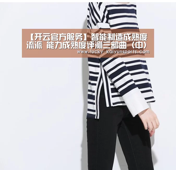 【开云官方服务】智能制造成熟度流派 能力成熟度评测三部曲（中）