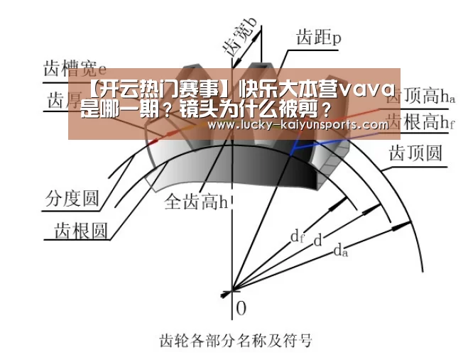 【开云热门赛事】快乐大本营vava是哪一期?镜头为什么被剪?(图4) 开云体育