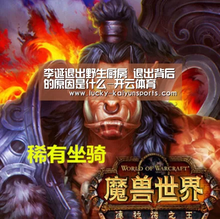 开云官方服务